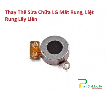 Thay Thế Sửa LG V35 Mất Rung, Liệt Rung Lấy Liền Tại HCM
